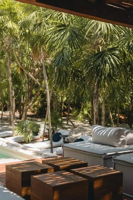 Luxury Villa In Sian Kan Tulum Mexico
