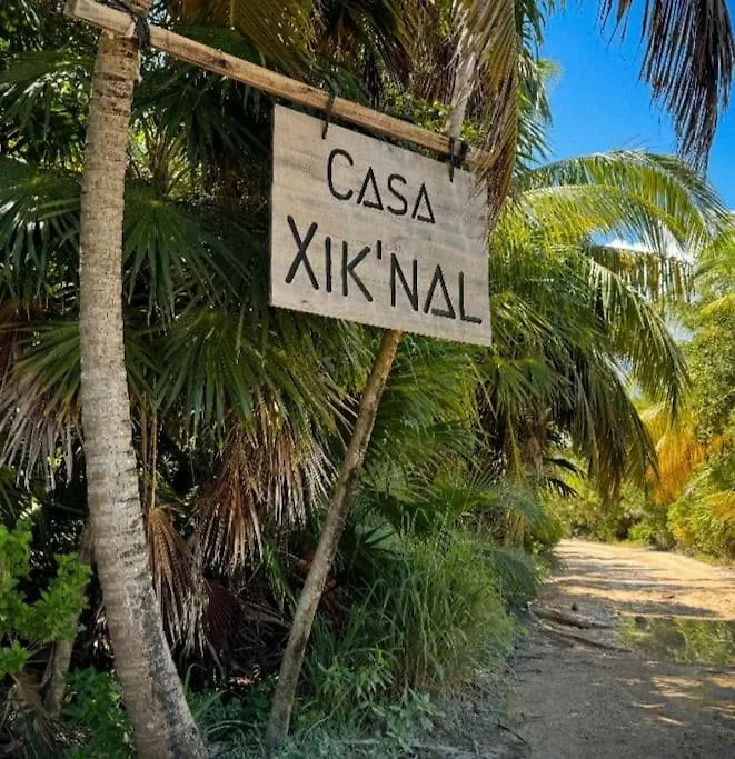 Luxury Villa In Sian Kan Tulum 0*,