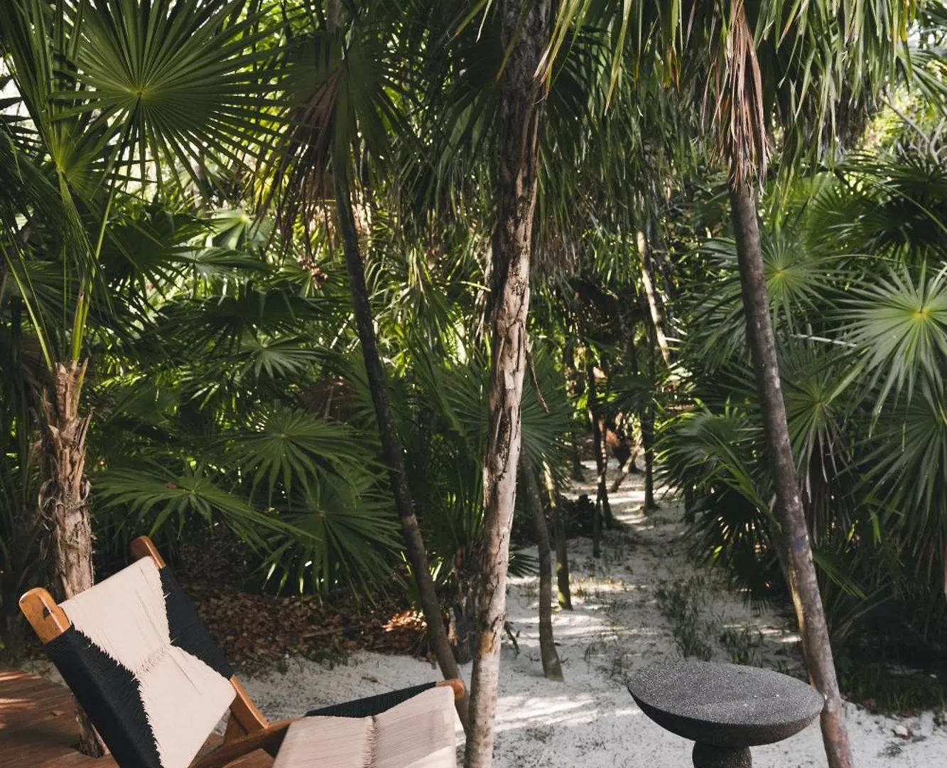 Luxury Villa In Sian Kan Tulum