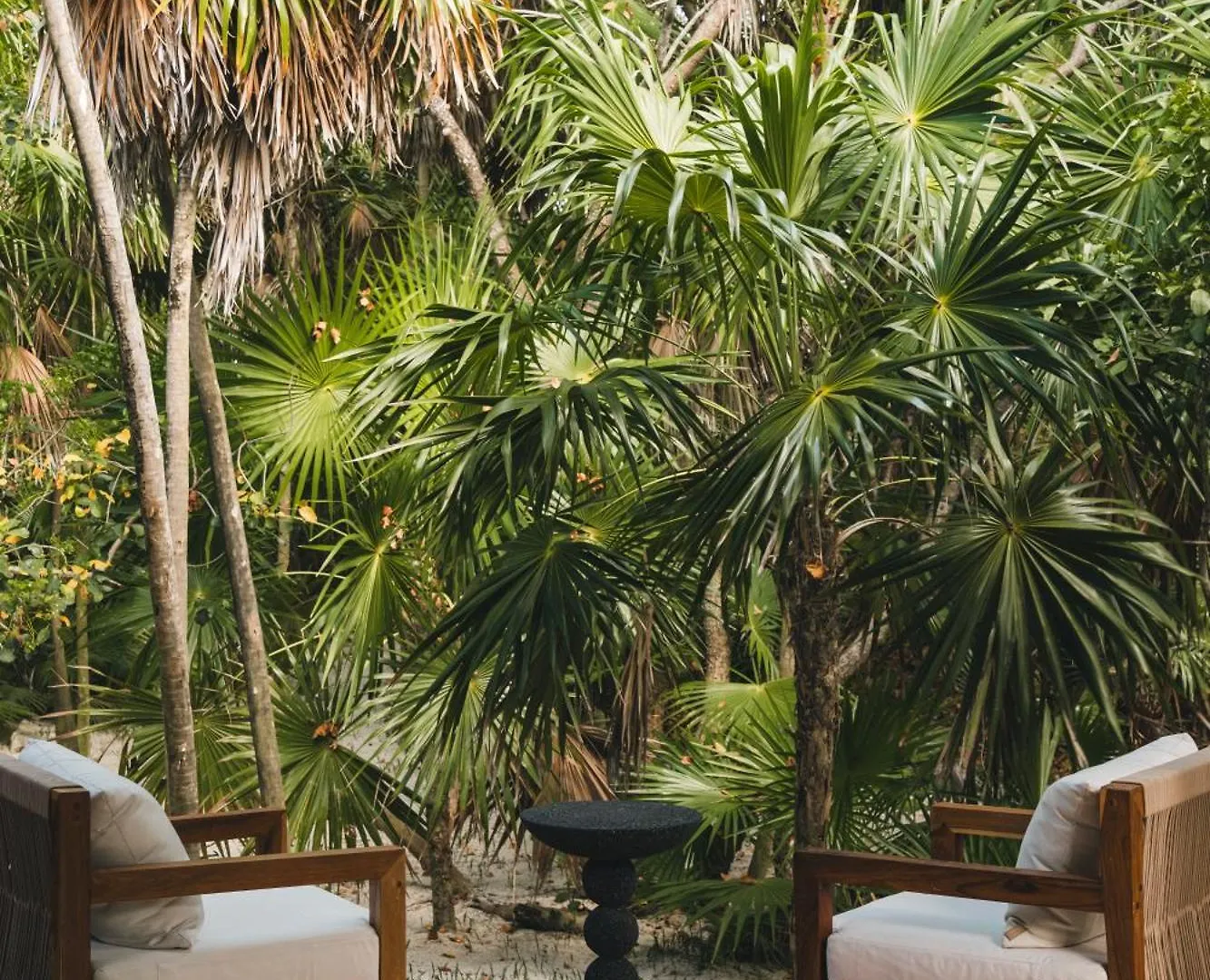 Luxury Villa In Sian Kan Tulum